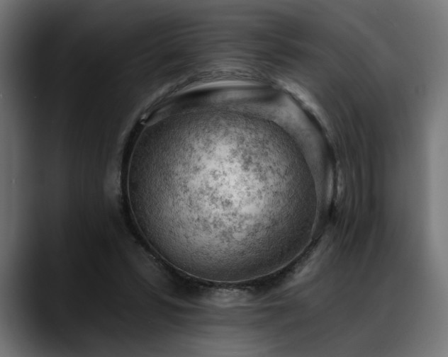 X0000088650399200705251506