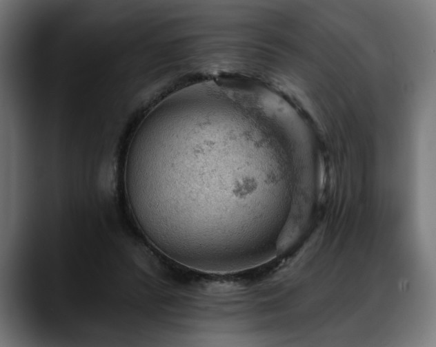 X0000088650400200705251506