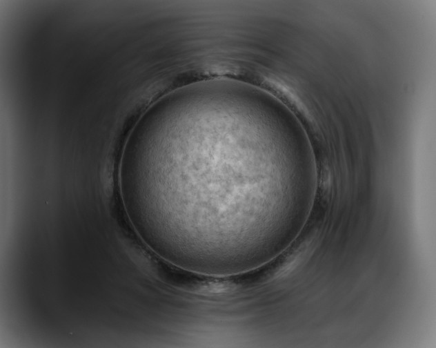X0000088650402200705251506