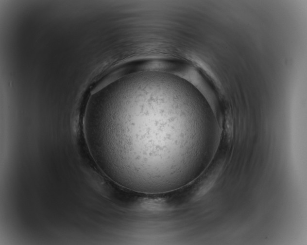 X0000088650403200705251506