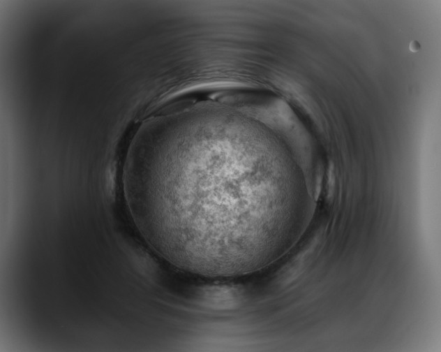 X0000088650404200705251506