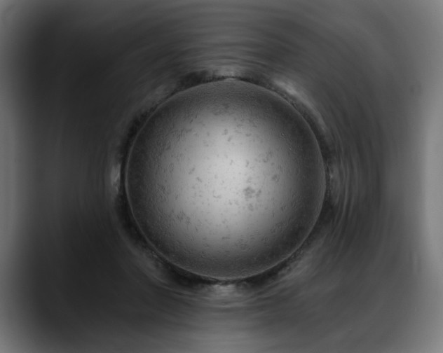 X0000088650406200705251506