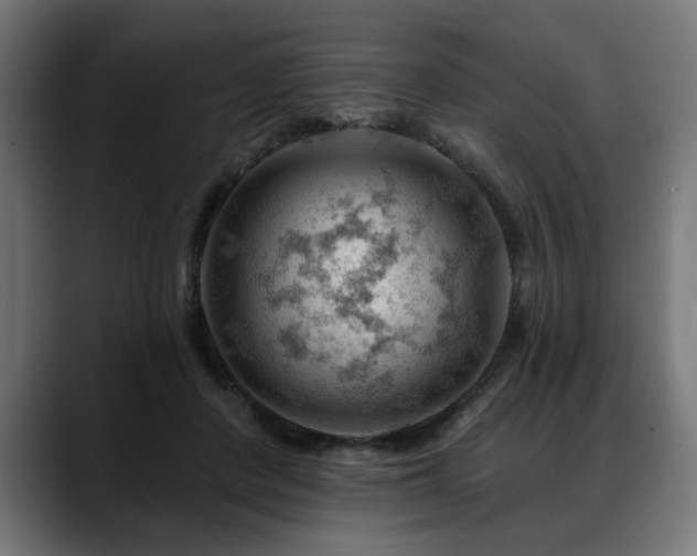 X0000088650408200705251506