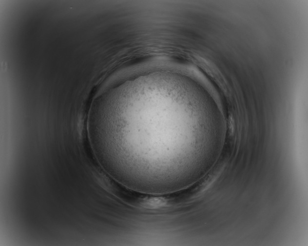 X0000088650409200705251506