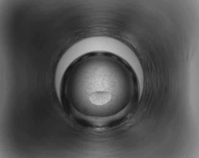 X0000088650411200705251506