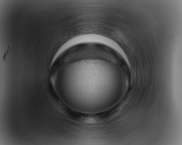 X0000088650412200705251506