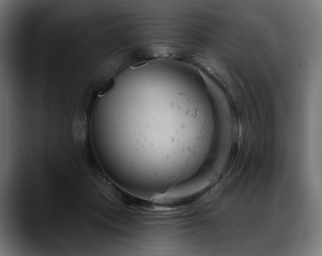 X0000088650413200705251506