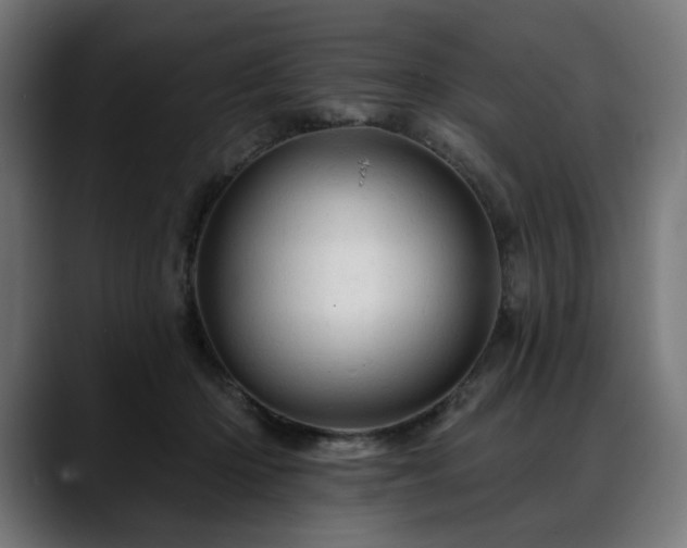 X0000088650414200705251506
