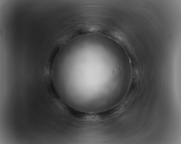 X0000088650415200705251506