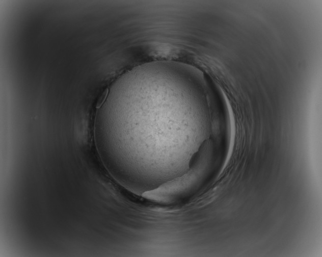 X0000088650416200705251506