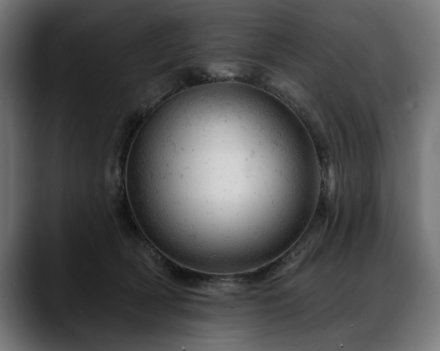 X0000088650418200705251506