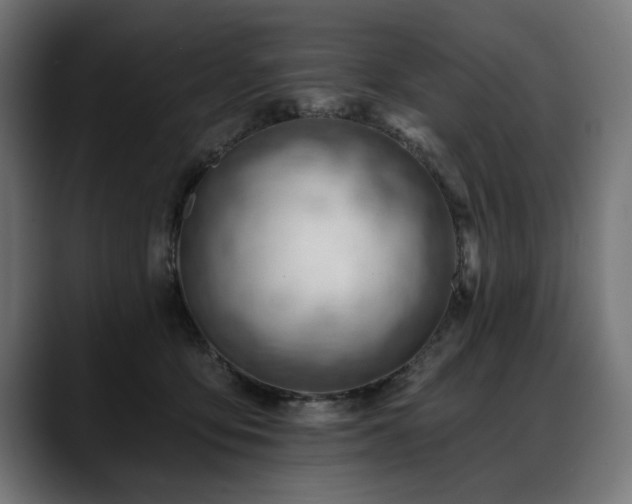 X0000088650419200705251506