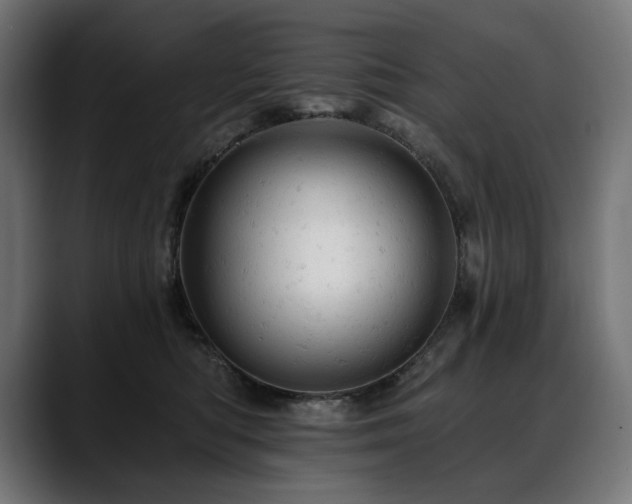 X0000088650422200705251506