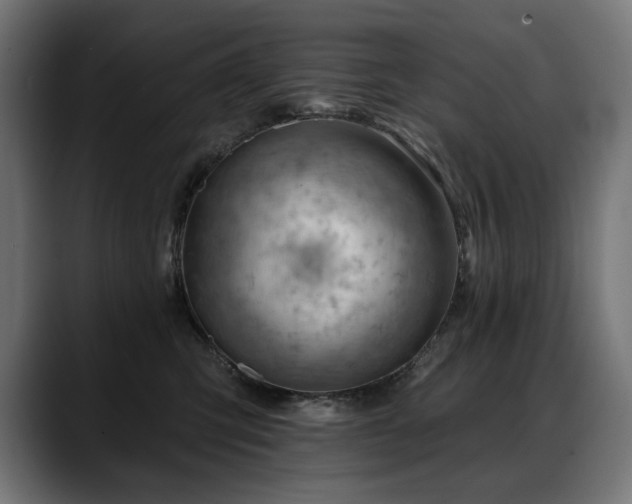 X0000088650423200705251506