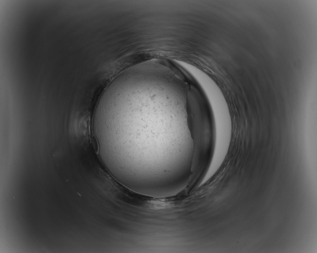 X0000088650425200705251506
