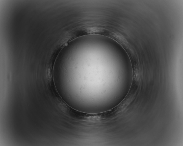 X0000088650426200705251505