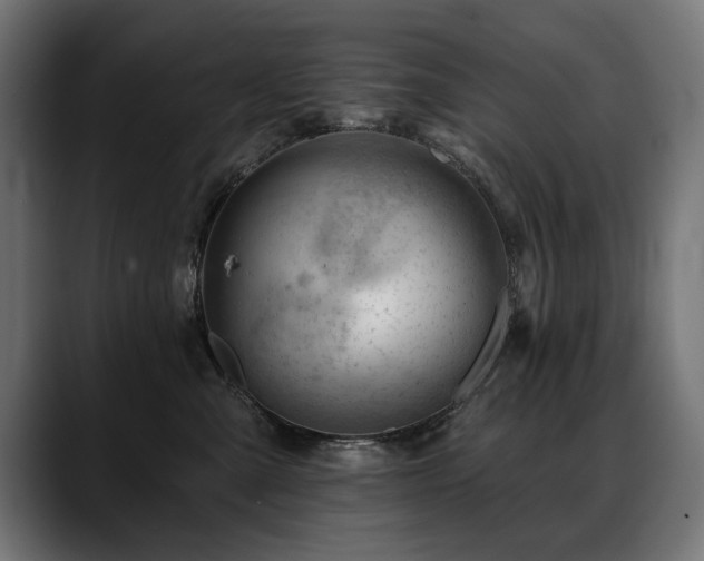 X0000088650427200705251505