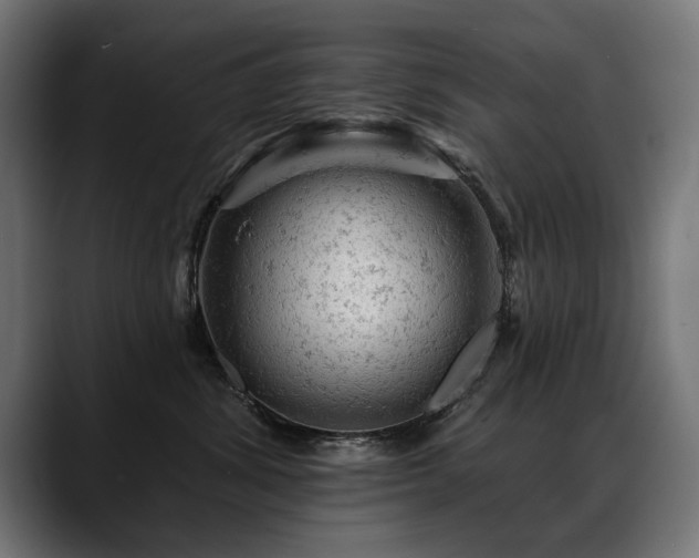 X0000088650428200705251505