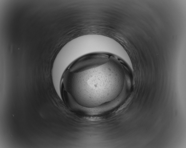 X0000088650429200705251505