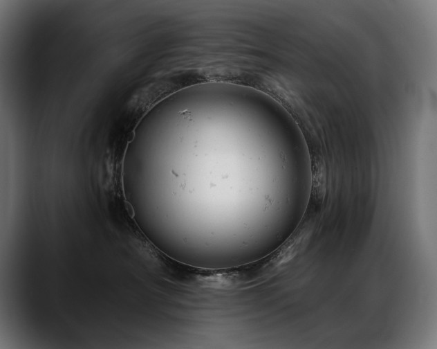 X0000088650430200705251505