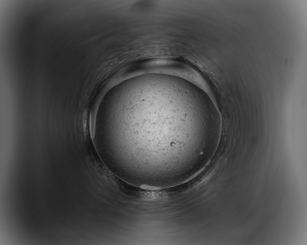 X0000088650432200705251505