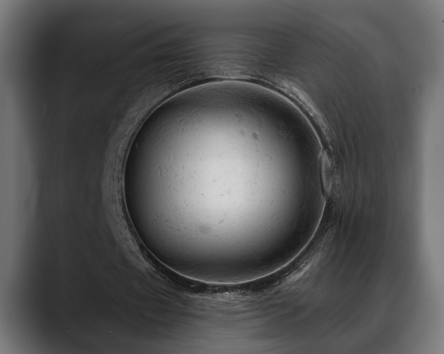 X0000088650433200705251505