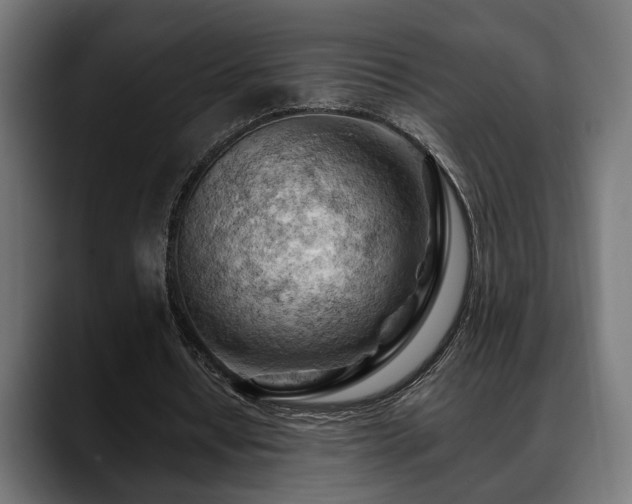 X0000088650434200705251505