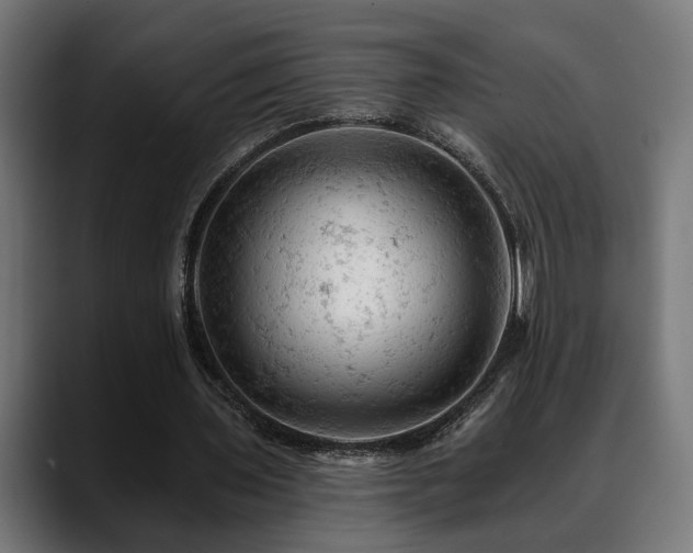 X0000088650435200705251505