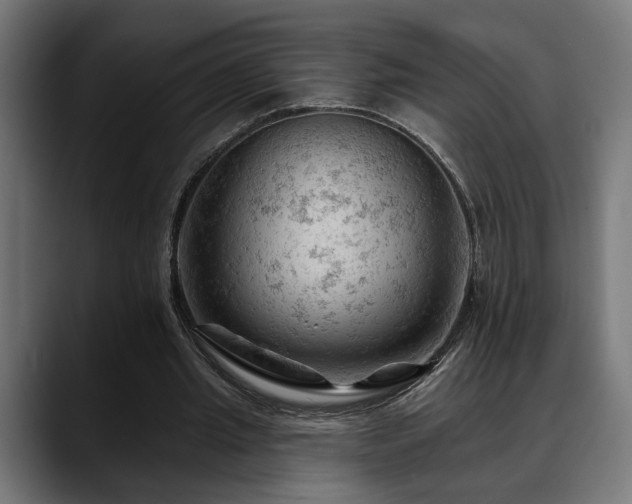 X0000088650437200705251505