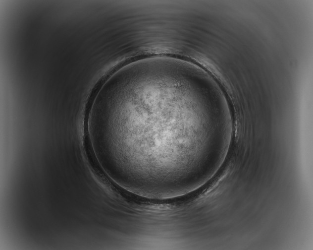 X0000088650438200705251505