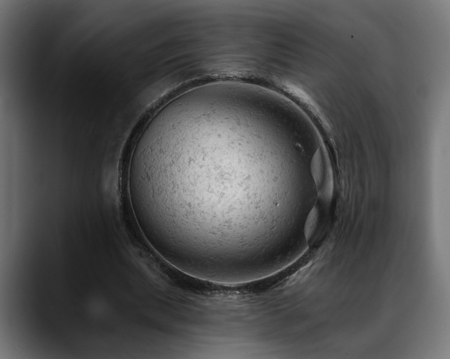 X0000088650439200705251505