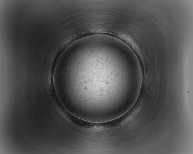 X0000088650441200705251505