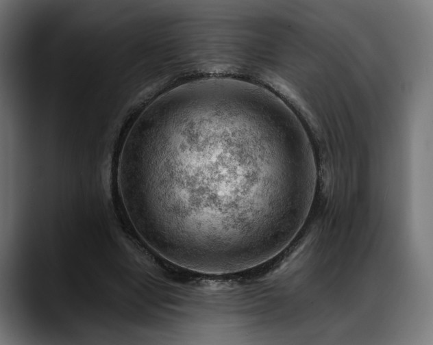 X0000088650442200705251505
