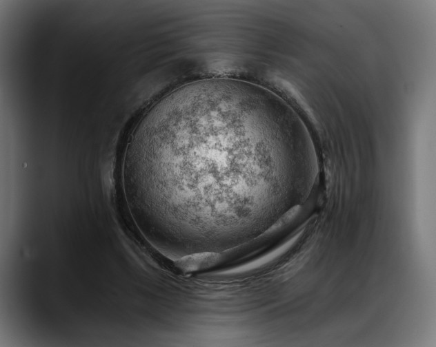 X0000088650443200705251505