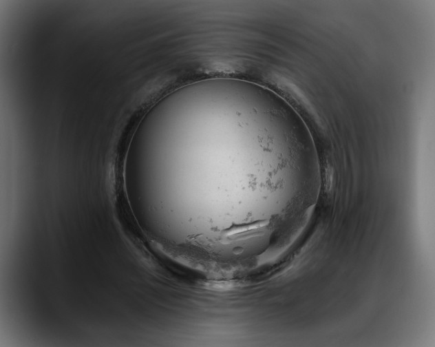 X0000088650444200705251505