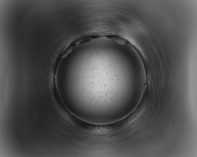 X0000088650445200705251505
