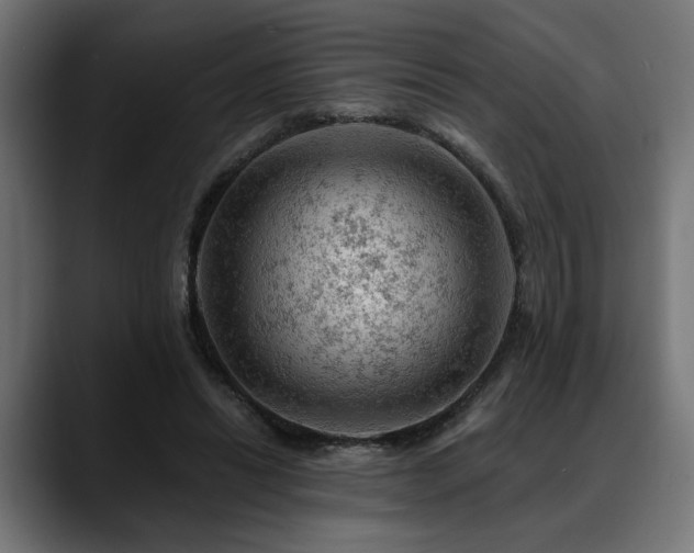 X0000088650446200705251505