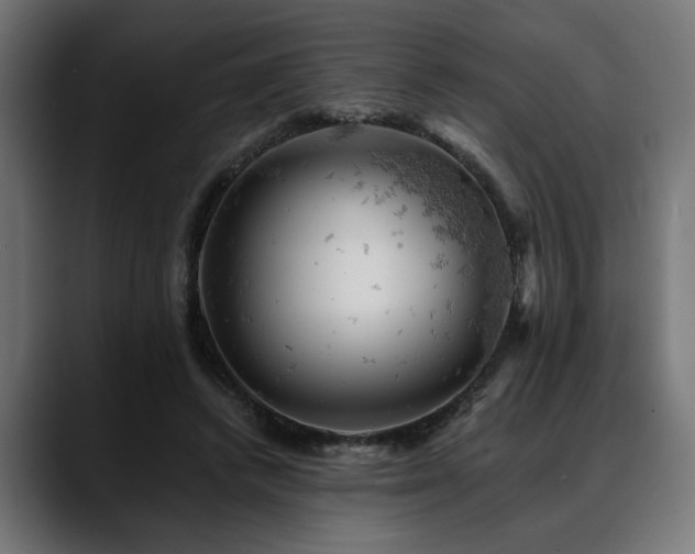 X0000088650448200705251505