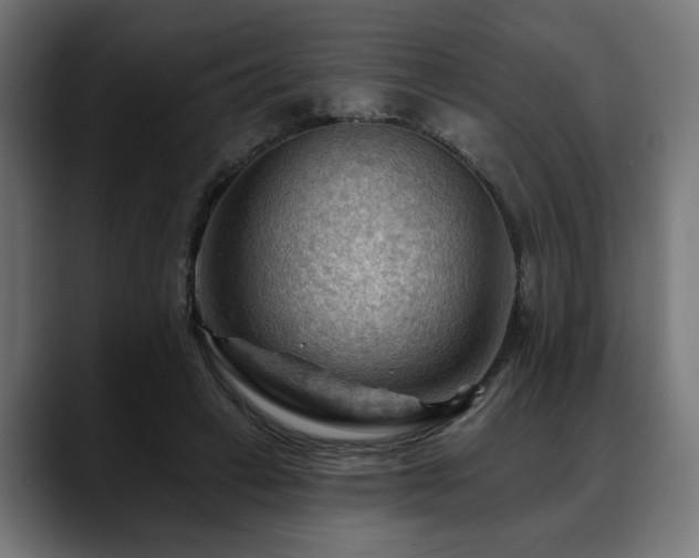 X0000088650449200705251505