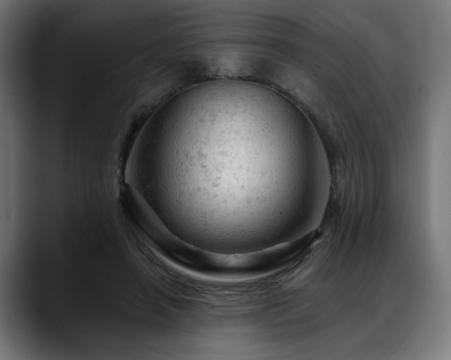 X0000088650450200705251505