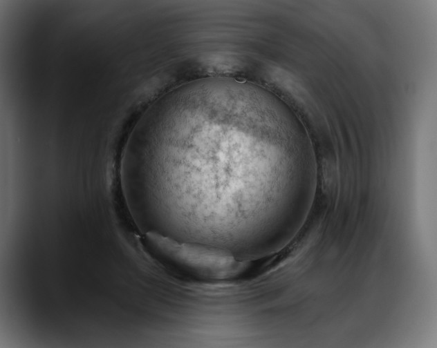 X0000088650451200705251505