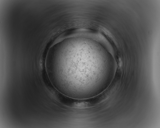 X0000088650452200705251505