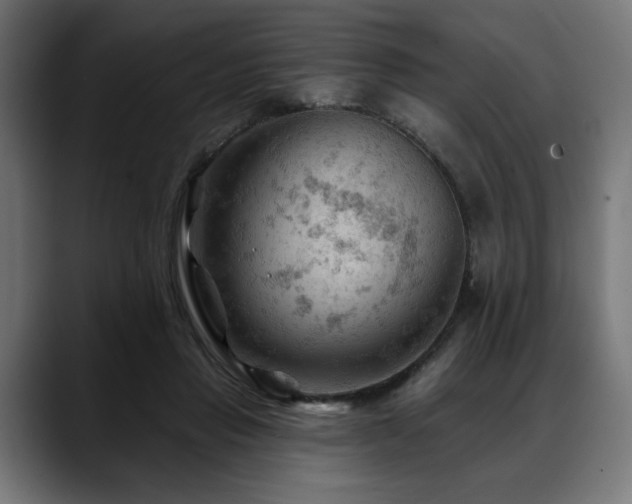 X0000088650453200705251505