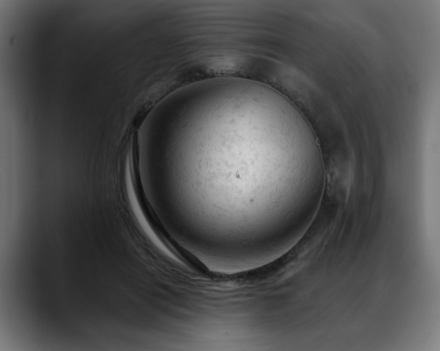 X0000088650454200705251505
