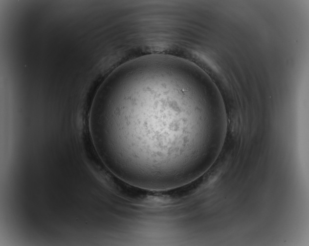 X0000088650455200705251505