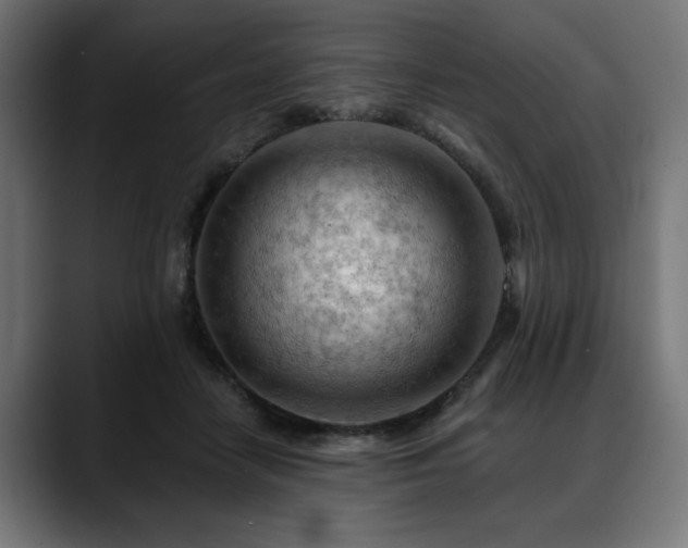 X0000088650458200705251505