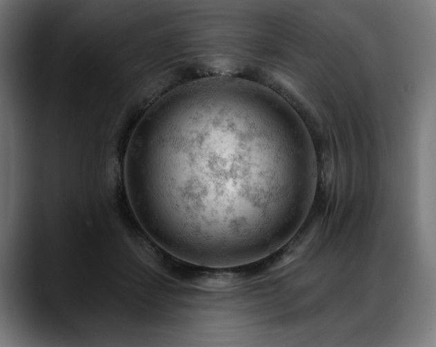 X0000088650459200705251505