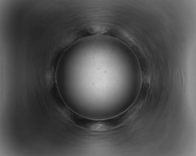 X0000088650460200705251505