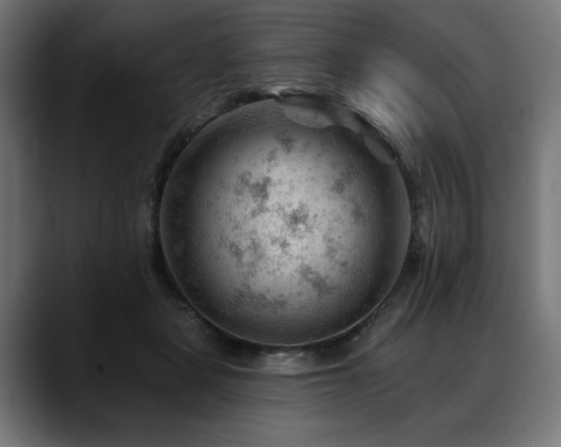 X0000088650461200705251505