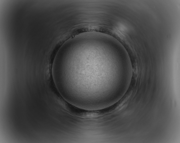 X0000088650462200705251505